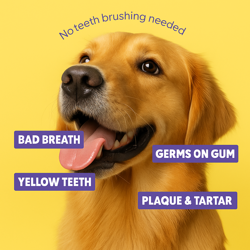 Dental Wipes