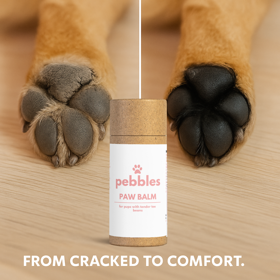 Paw Balm
