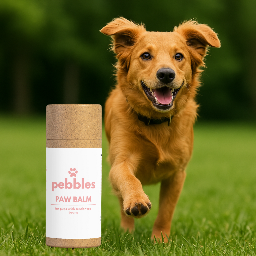 Paw Balm