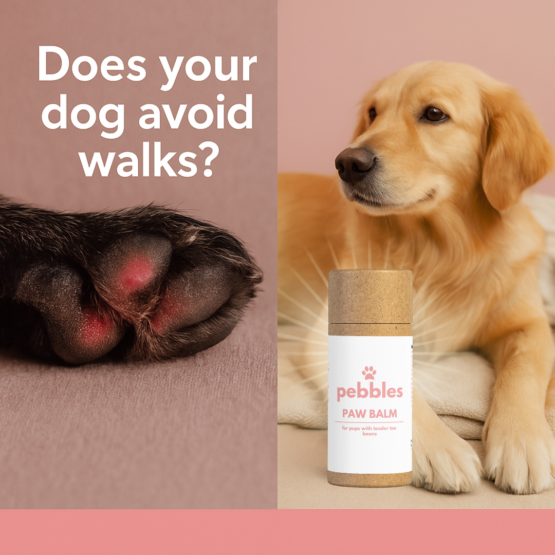 Paw Balm