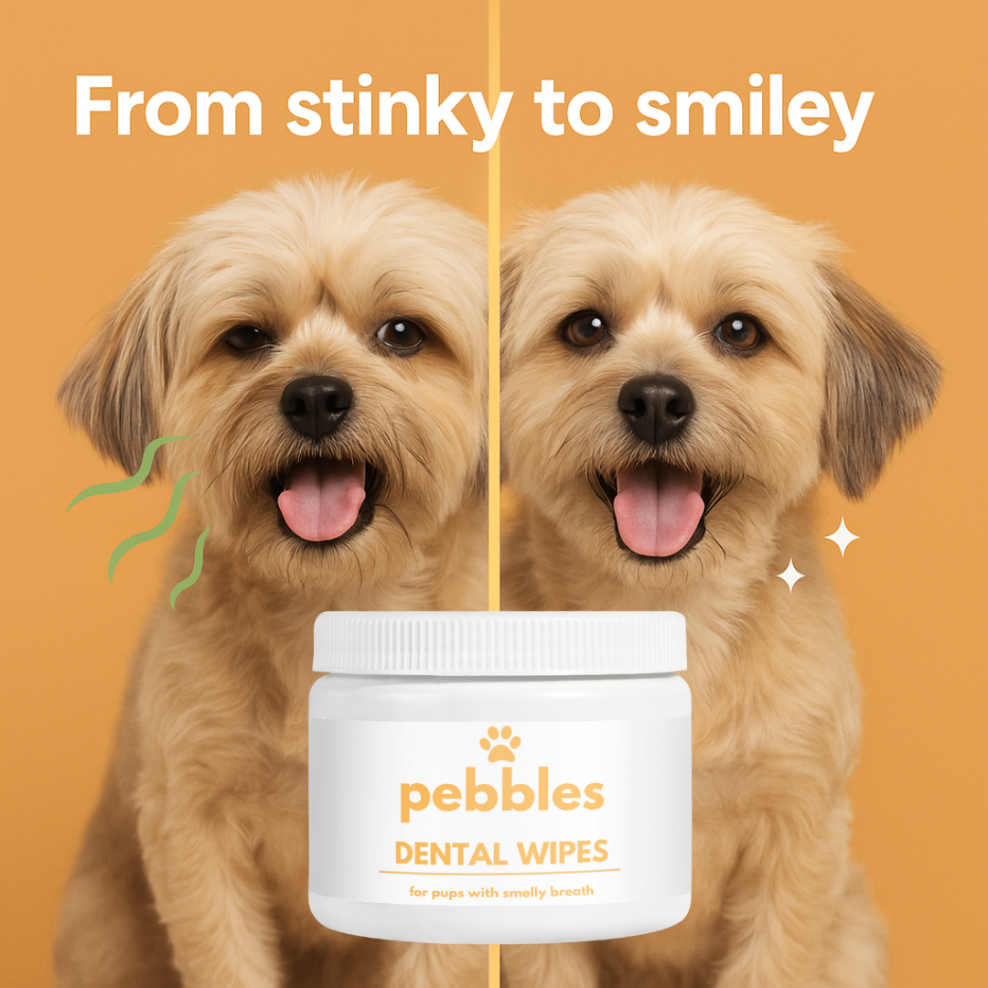 Dental Wipes
