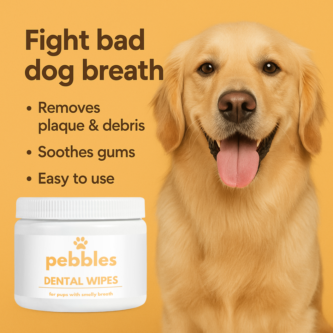 Dental Wipes
