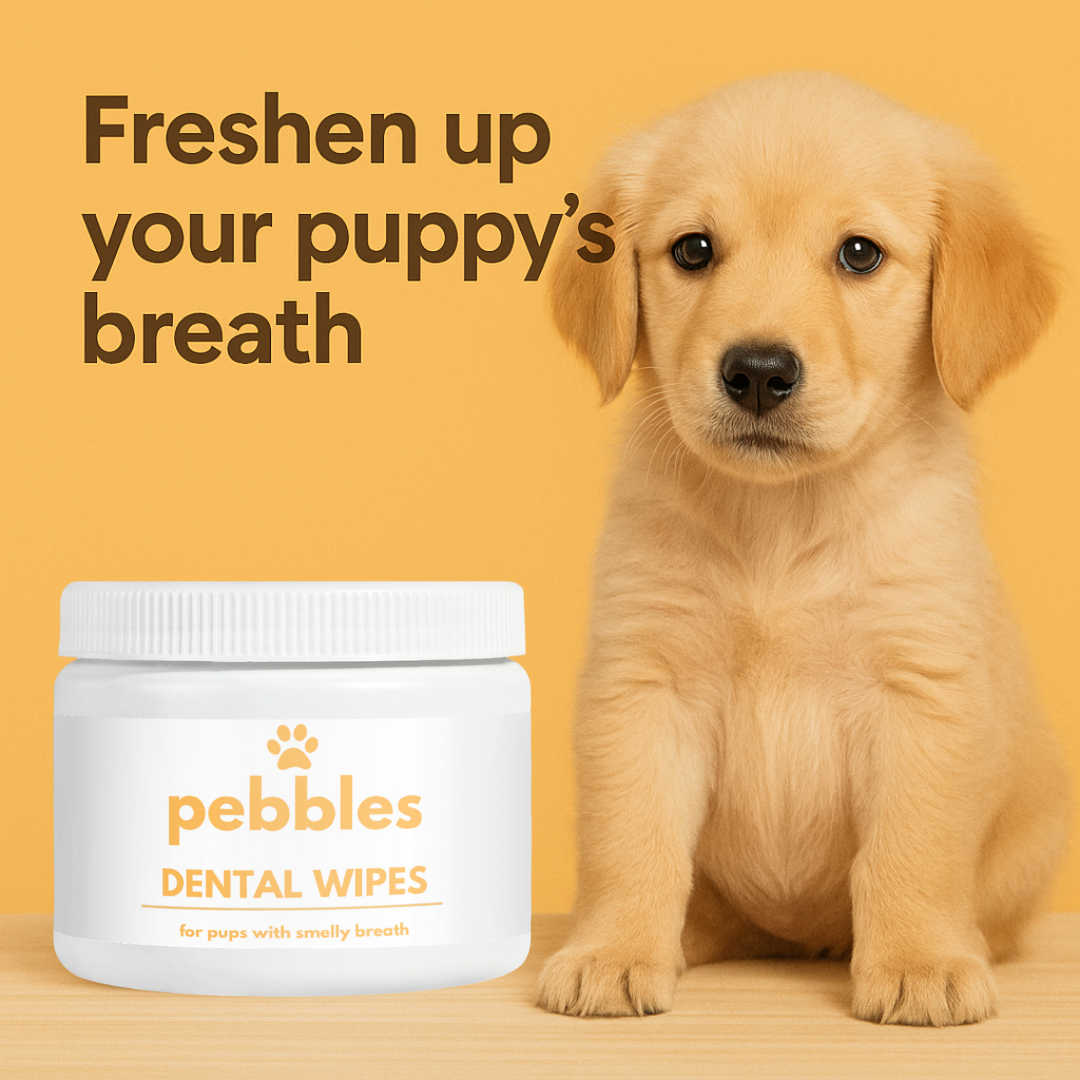Dental Wipes