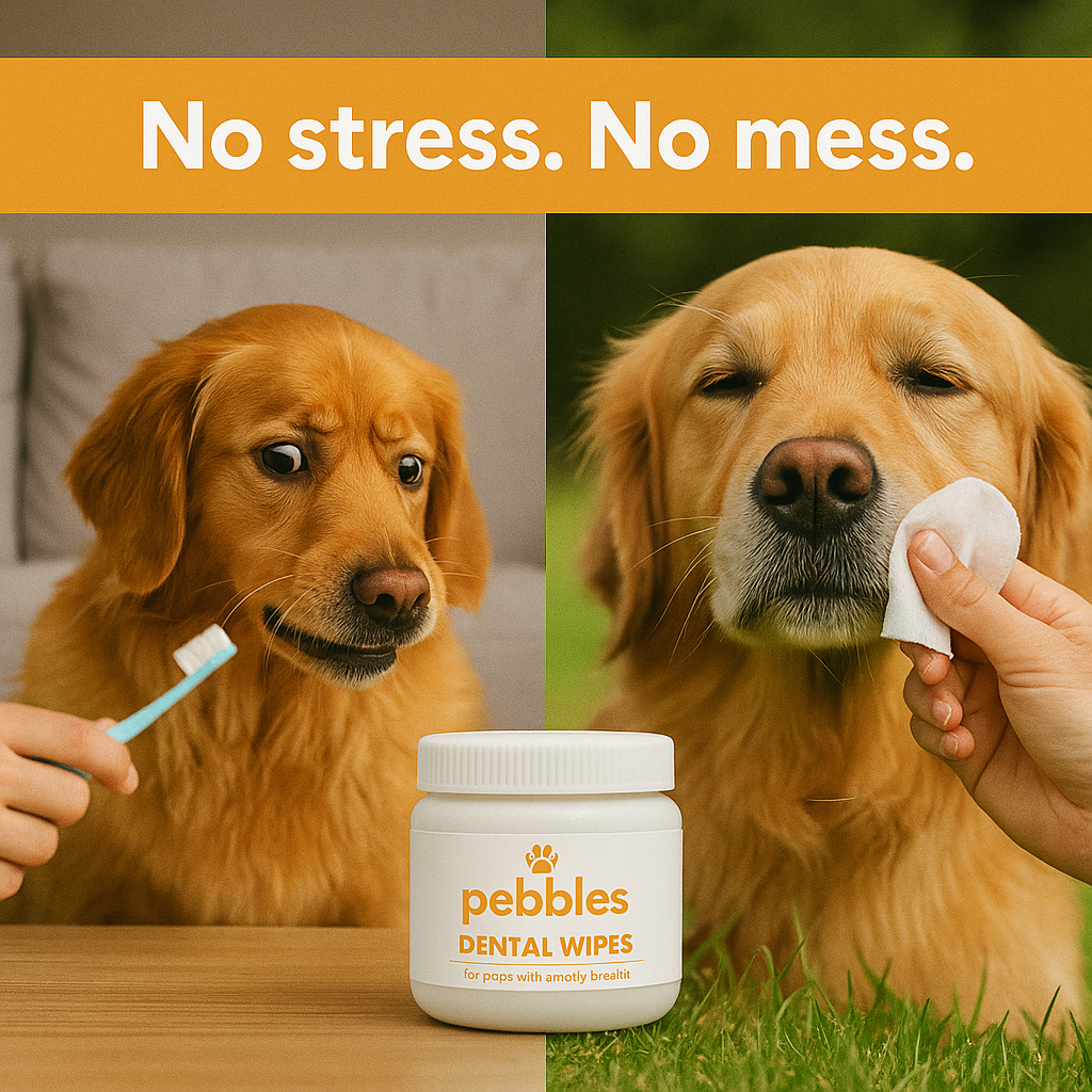 Dental Wipes