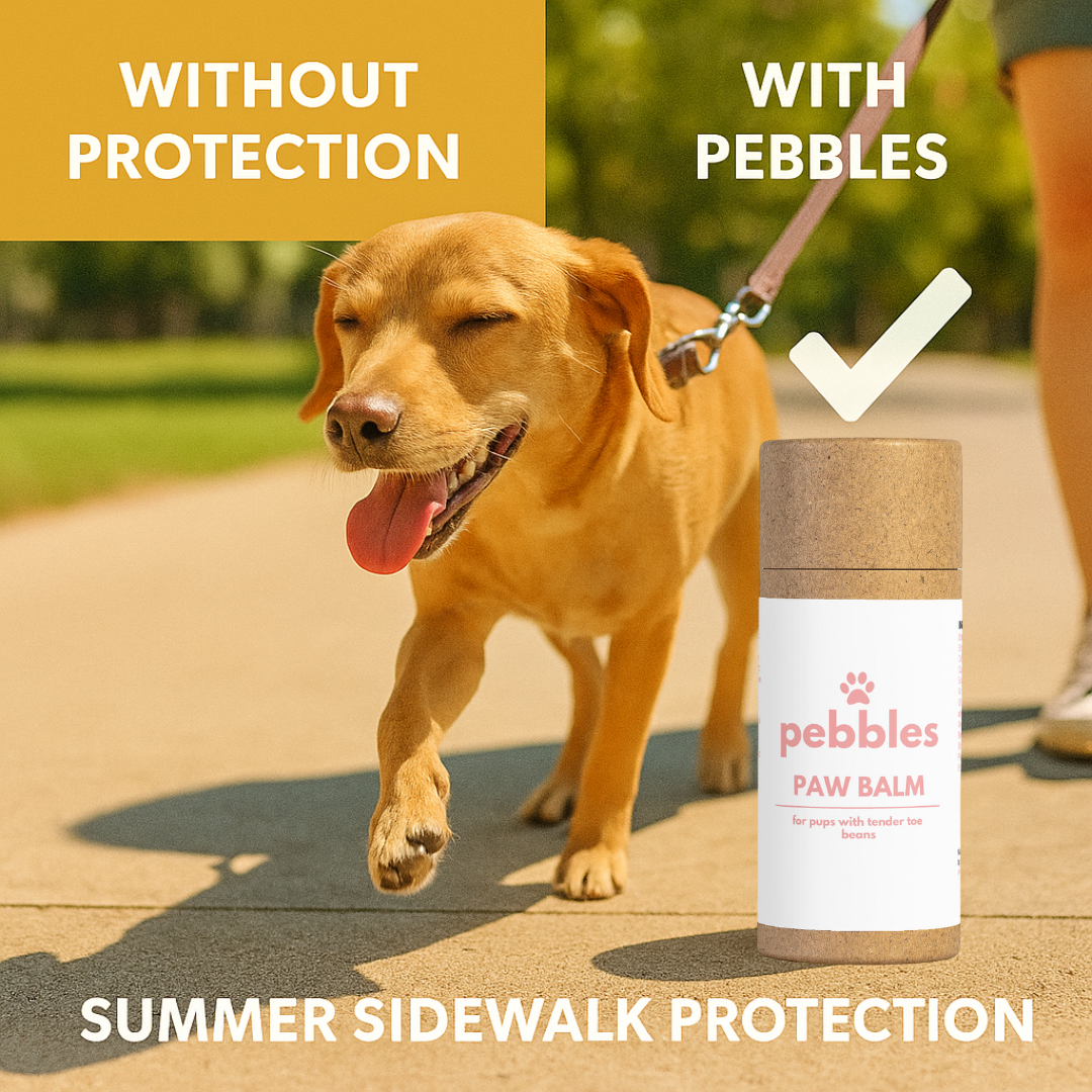 Paw Balm