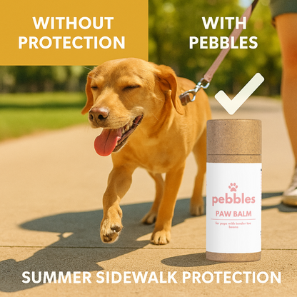 Paw Balm